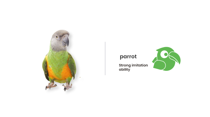 ./../_static/image/parrot.jpeg